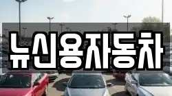 뉴신용자동차