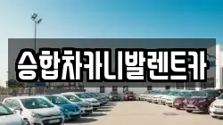 승합차카니발렌트카