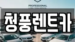 청풍렌트카