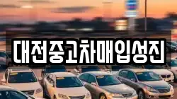 대전중고차매입성진