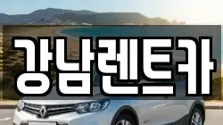 대전광역시 동구 용계동 렌트카,단기렌트카,장기렌트카,중고차,중고차매매,중고차매입