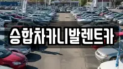 승합차카니발렌트카