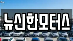 뉴신한모터스