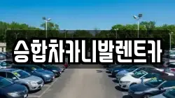 승합차카니발렌트카