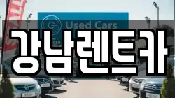 대전광역시 동구 효평동 렌트카,단기렌트카,장기렌트카,중고차,중고차매매,중고차매입