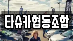 타슈카협동조합