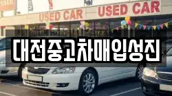 대전중고차매입성진