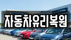 자동차유리복원