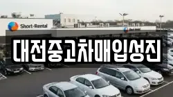 대전중고차매입성진