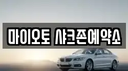 대전광역시 서구 탄방동 렌트카,단기렌트카,장기렌트카,중고차,중고차매매,중고차매입