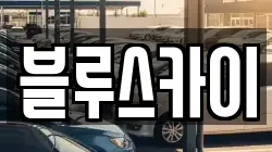 블루스카이