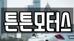 튼튼모터스