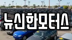 뉴신한모터스