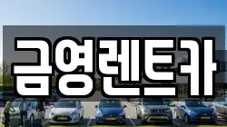 금영렌트카