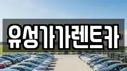 유성가가렌트카