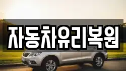 자동차유리복원