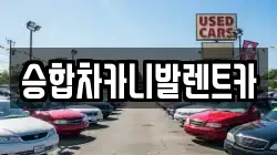 대전광역시 유성구 덕진동 렌트카,단기렌트카,장기렌트카,중고차,중고차매매,중고차매입
