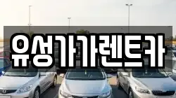 유성가가렌트카