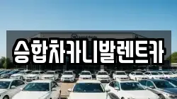 대전광역시 유성구 도룡동 렌트카,단기렌트카,장기렌트카,중고차,중고차매매,중고차매입