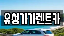 유성가가렌트카
