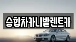 승합차카니발렌트카