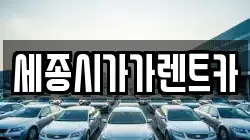 세종시가가렌트카