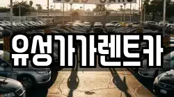 유성가가렌트카