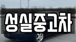 성실중고차