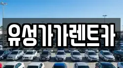 유성가가렌트카