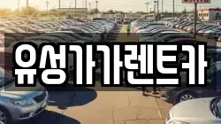 유성가가렌트카