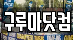 대전광역시 유성구 죽동 렌트카,단기렌트카,장기렌트카,중고차,중고차매매,중고차매입