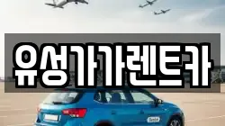 유성가가렌트카