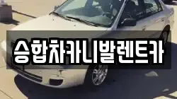 승합차카니발렌트카