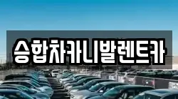 승합차카니발렌트카