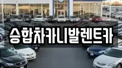 승합차카니발렌트카