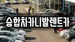 승합차카니발렌트카