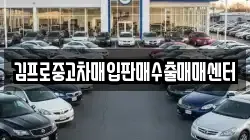 김프로중고차매입판매수출매매센터