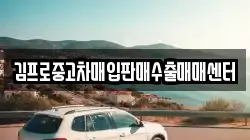 김프로중고차매입판매수출매매센터