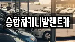 승합차카니발렌트카