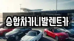 승합차카니발렌트카