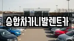 승합차카니발렌트카