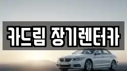 카드림 장기렌터카