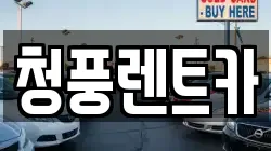 청풍렌트카