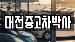 대전중고차박사