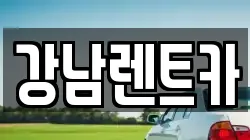 강남렌트카