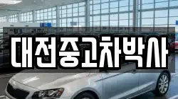 대전중고차박사