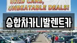 승합차카니발렌트카
