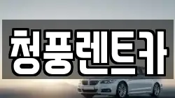 청풍렌트카