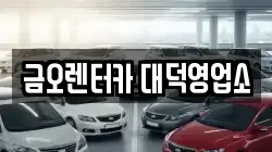 금오렌터카 대덕영업소