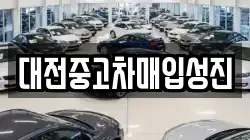 대전중고차매입성진